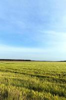 Cloudy weather, field photo