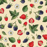 Fruity seamless pattern with strawberries and blackberries. Design for fabric, textile, wallpaper, packaging, cafe. vector