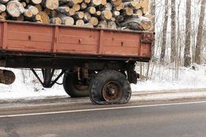 Trunk of a sawn wood photo