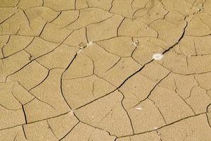 cracked soil in agricultural field photo