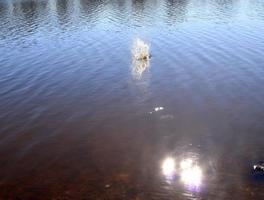 Beautiful water at a lake with splashing water and ripples on the surface with clouds and blue sky reflections photo