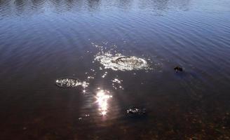 Beautiful water at a lake with splashing water and ripples on the surface with clouds and blue sky reflections photo