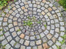 Detailed close up in an old garden in northern europe photo