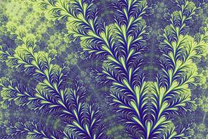 Floral patterns found in the infinite mathematical mandelbrot set fractal photo