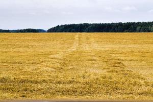 parte de un campo agrícola foto