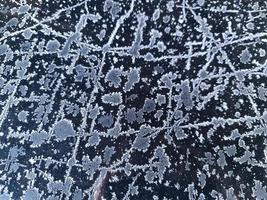 Beautiful ice flowers car surface on a cold winter day. photo