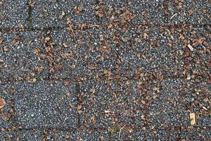 Detailed close up on old historical cobblestone roads and walkways photo