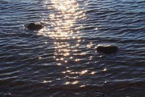 Detailed close up view on water surfaces with ripples and waves and the sunlight reflecting at the surface photo