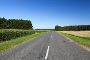 carretera asfaltada, campo y bosque foto