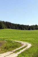 rural road. field photo