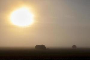 montones de paja, niebla foto