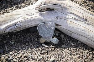 A Heart of Ice Leaning Against a Tree Trunk. photo