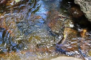 vista detallada de las superficies de agua con ondas y ondas y la luz del sol reflejada en la superficie foto