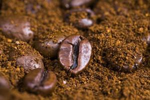 aromatic coffee beans photo