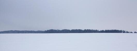 Snow drifts, field photo