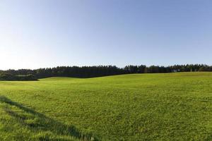 paisaje de verano, campo y bosque. foto