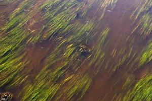 water in the river in autumn photo