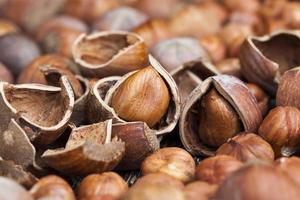 split hazelnuts on the table photo