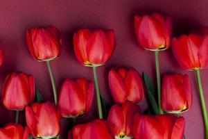 a bouquet of beautiful red tulips photo