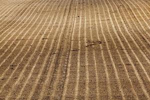 the plowed soil on which to grow cereal crops photo