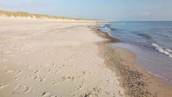 süßer hund, der auf leerem strand in echtzeit 4k läuft video