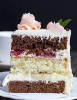 piece of cake made of vanilla and chocolate photo