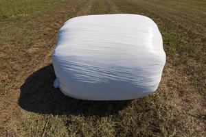 Packed in film grass straw for feeding livestock photo