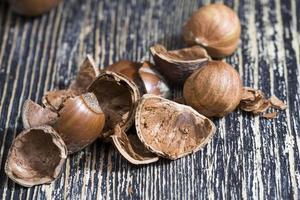 nut shells after getting their edible part photo