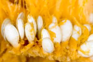 homemade orange pumpkin while cooking photo