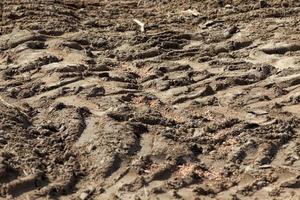 ploughed soil on which cereals are grown photo