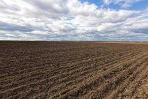 ploughed soil on which cereals are grown photo