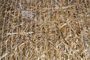 stubble and straw stacks photo