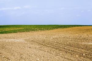 ploughed fertile soil agricultural field photo