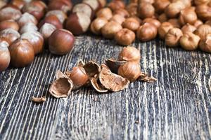 nut shells after getting their edible part photo