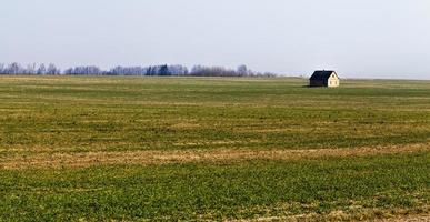 one house built in a field photo