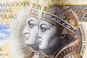 Polish zloty cash photo