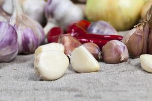 vegetables and spices photo