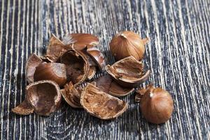nut shells after getting their edible part photo