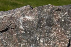 real large stone is dark in color photo