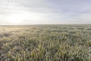 clima invernal en un campo agrícola foto