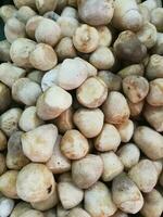 Close-up of a large number of straw mushrooms. photo