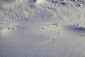 snow covered agricultural field photo