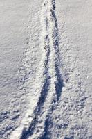 tracks in the snow photo