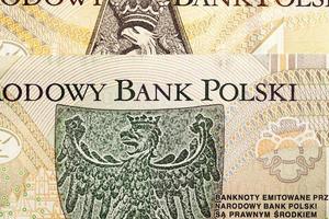 primer plano de dinero polaco foto