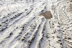 land covered with snow photo