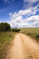 rural road in a field photo