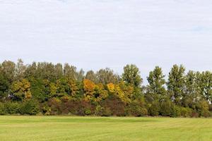 autumn trees and fields photo