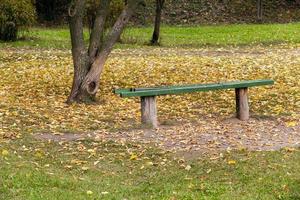 wooden bench in the park photo