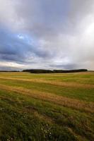 campo agrícola. puesta de sol foto