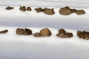 Snow drift and soil photo